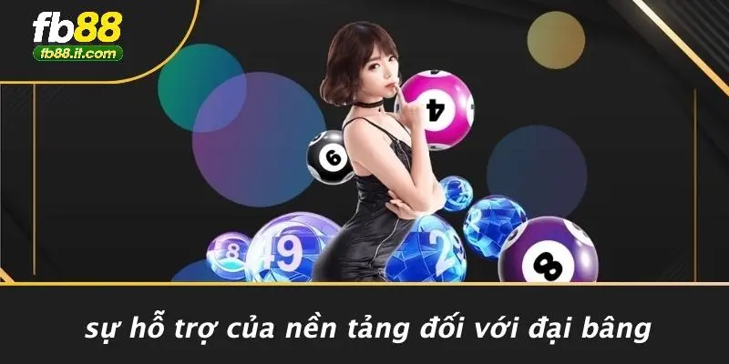 Sự Hỗ Trợ Của Nền Tảng Đối Với Đại Bâng
